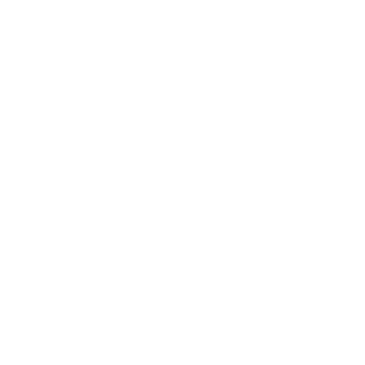 Flyside-Logo